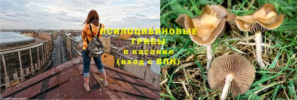 герыч Володарск